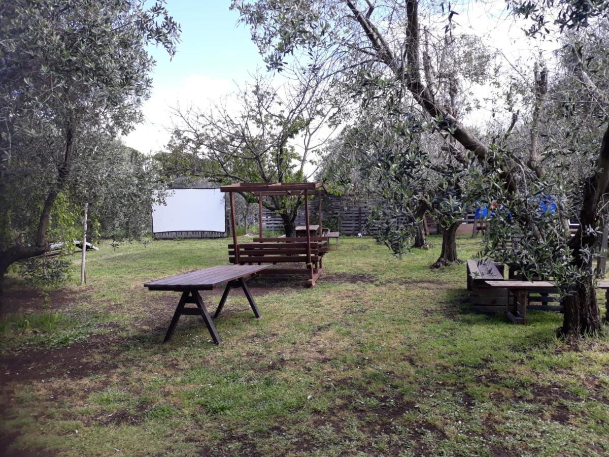 Bici Grill Decimo Miglio Aeroporto Ciampino Francigena Country House Zewnętrze zdjęcie